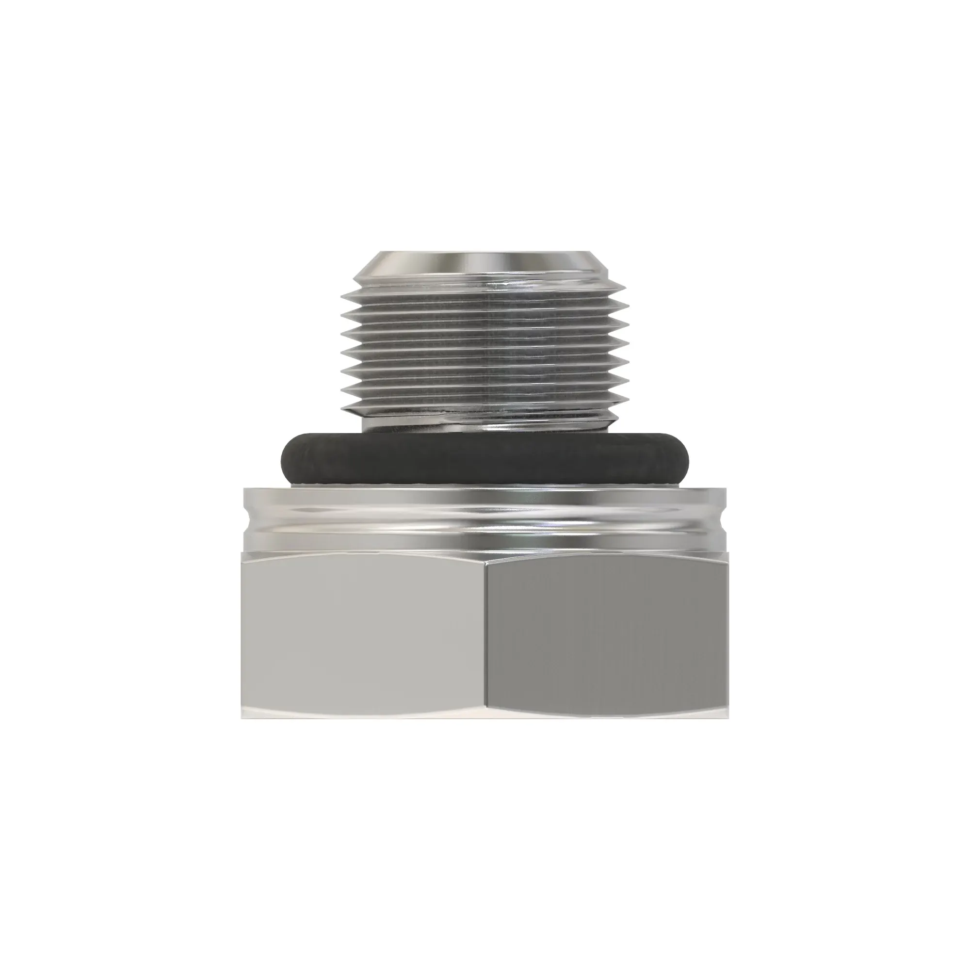 Fitting Plug
