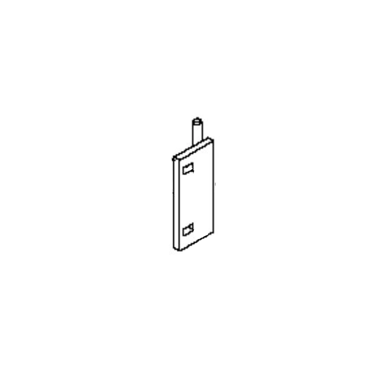 Pivot (Rear Door)