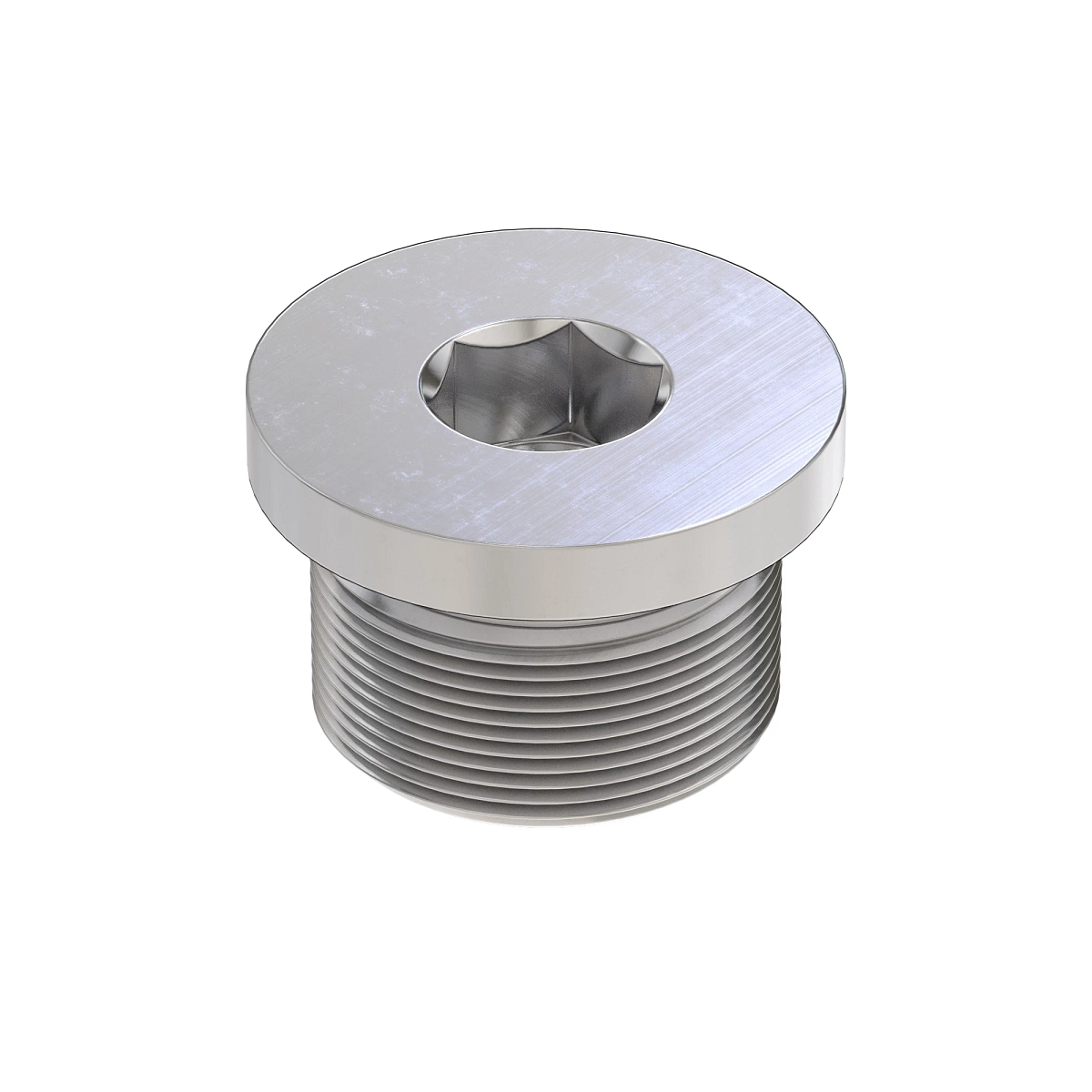 PLUG & O-RING