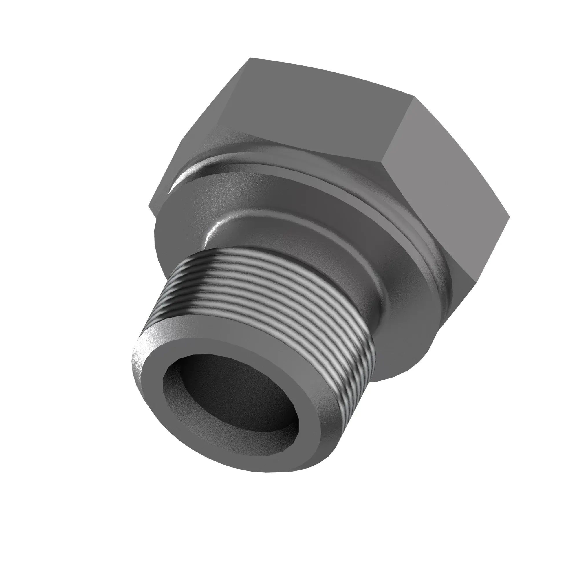 Fitting Plug