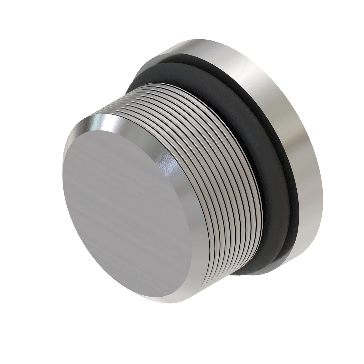 Fitting Plug