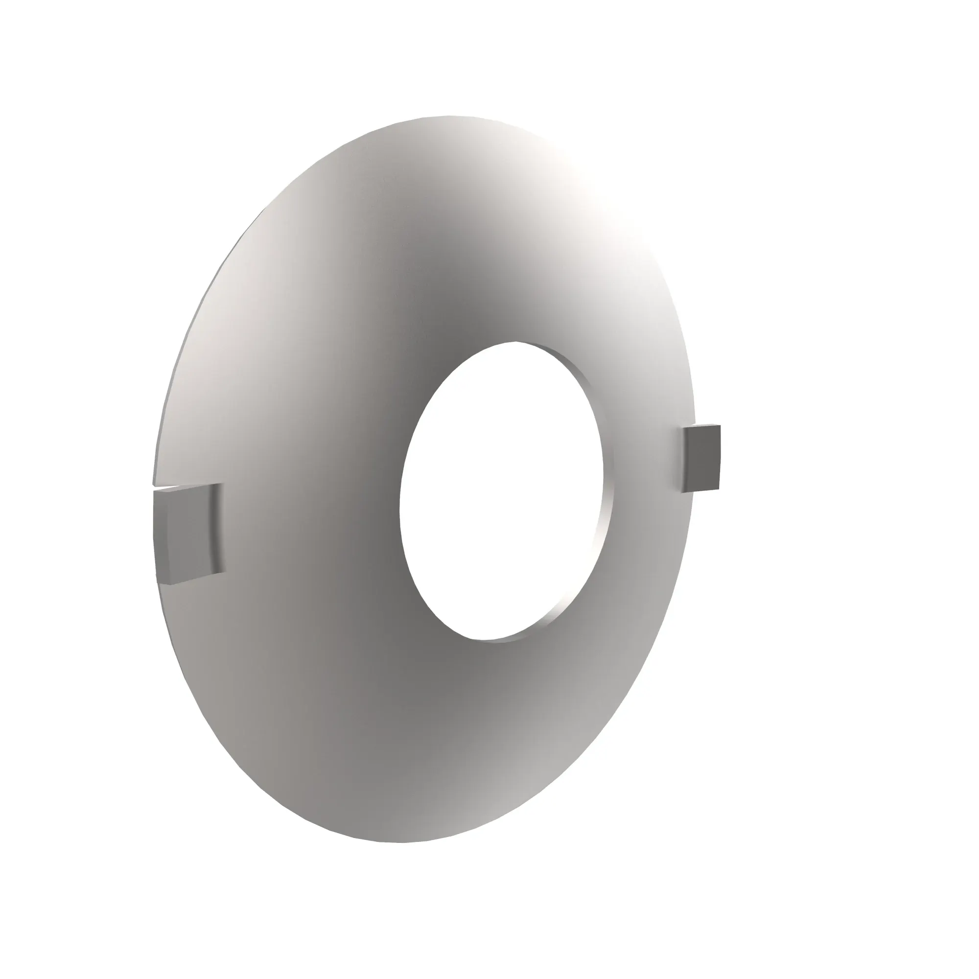 Thrust Washer