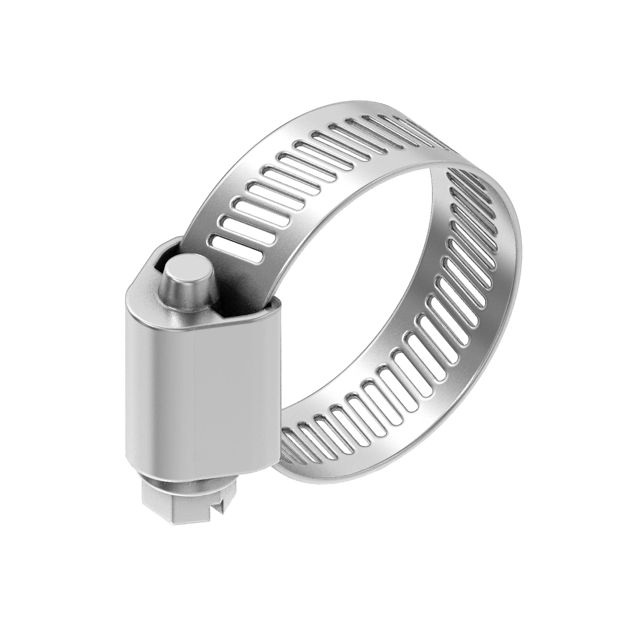 Stainless Steel Hose Clamp