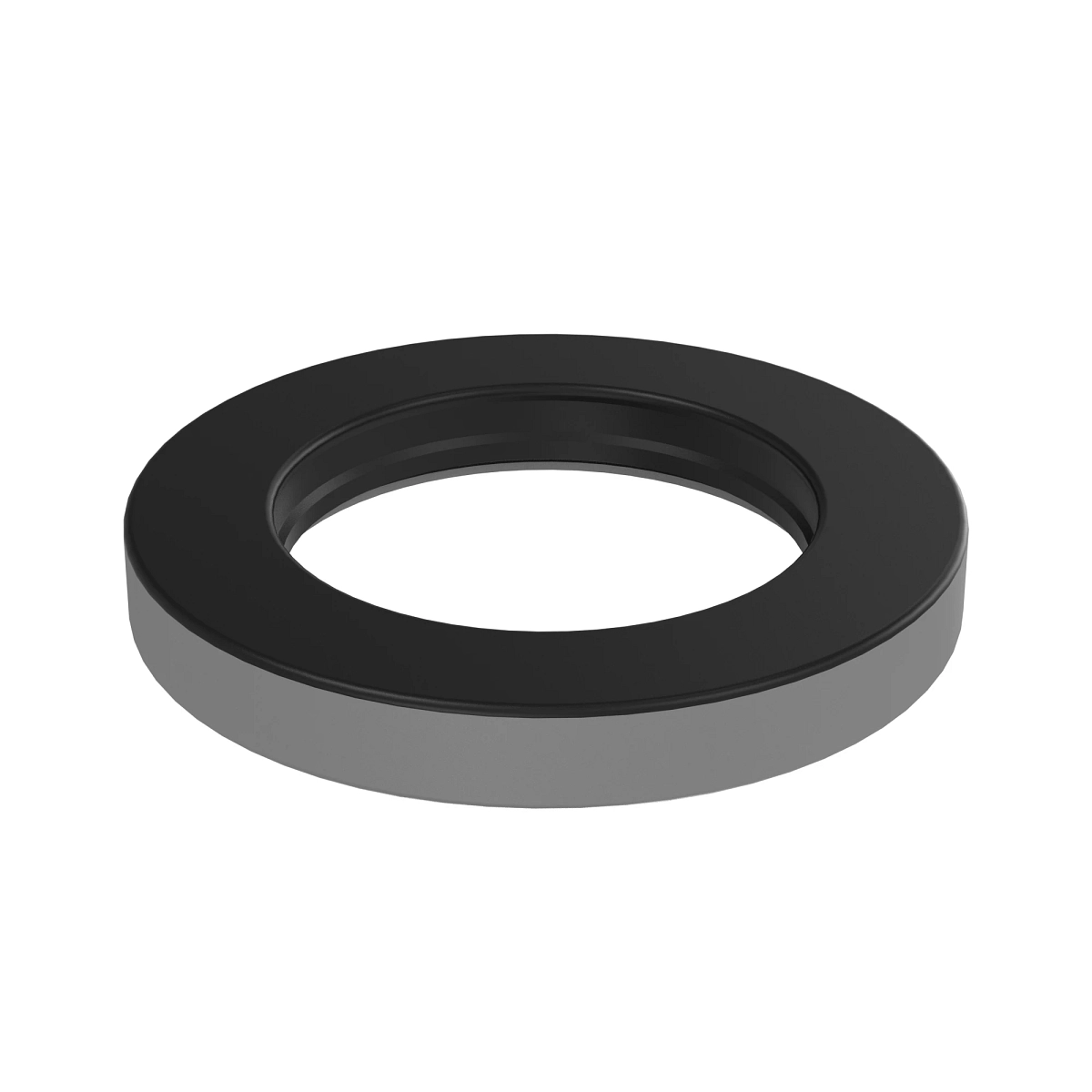 Seal, Internal With Spring