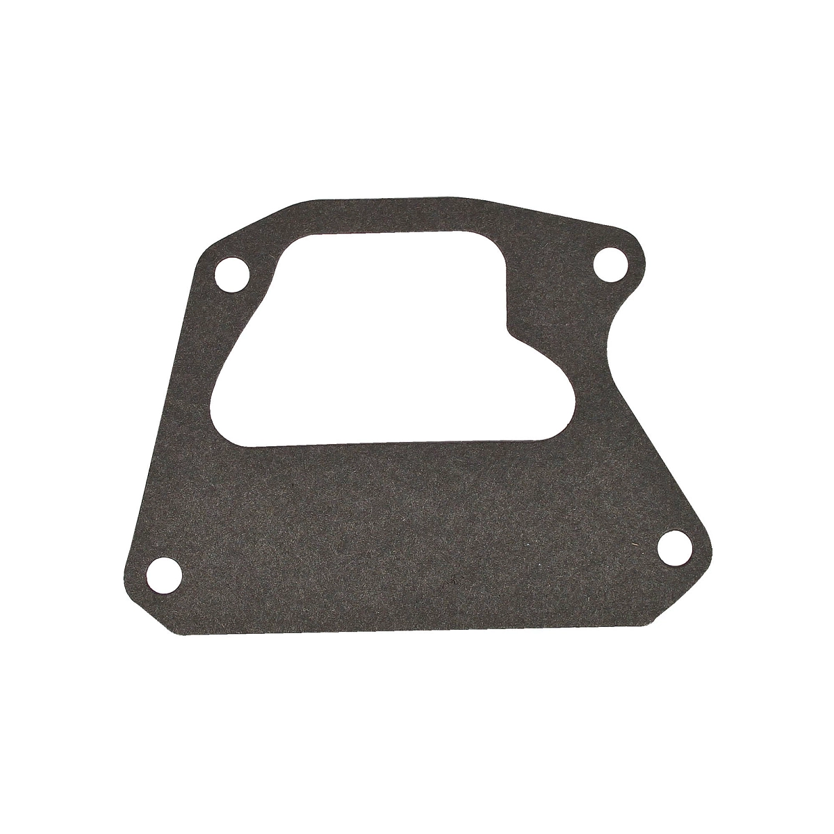Gasket, Water Pump Cover