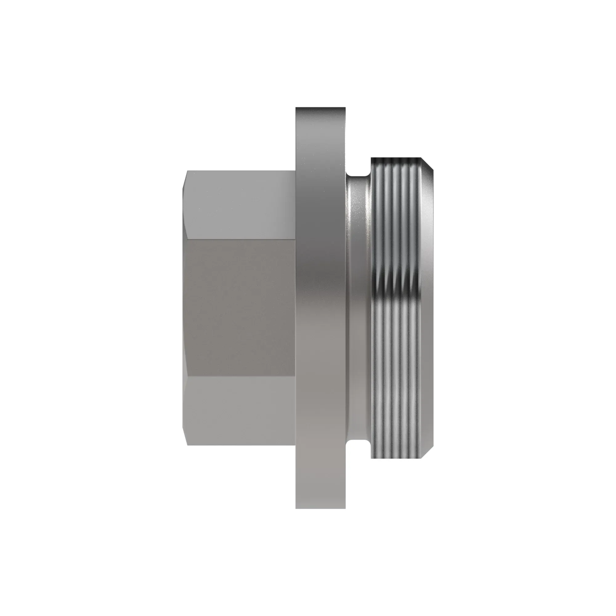Fitting Plug