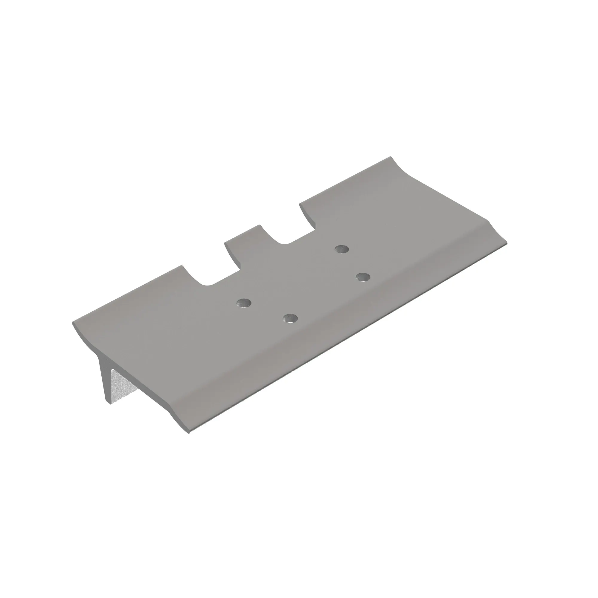 Single Bar Shoe