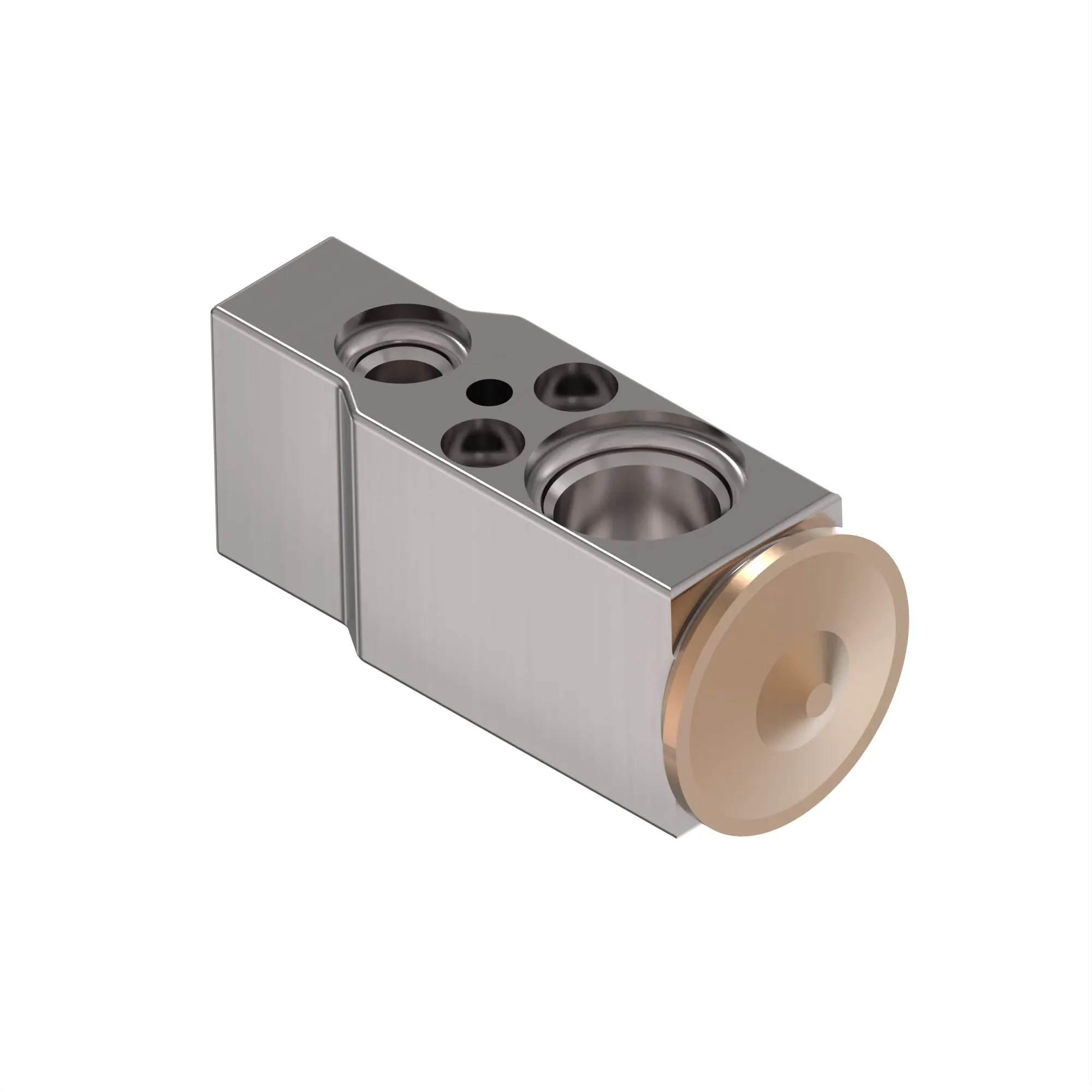 AL160645: Expansion Valve