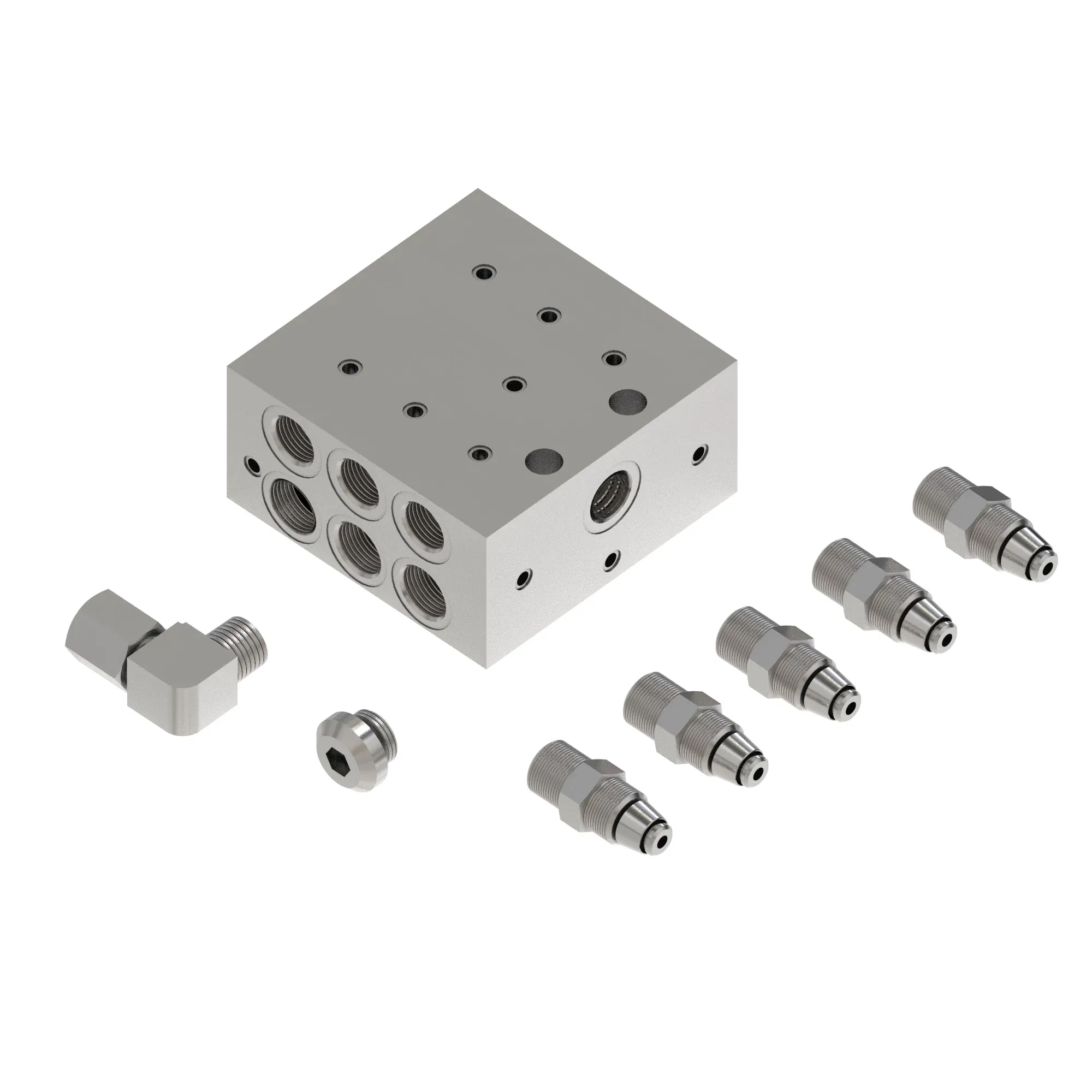 Manifold Kit