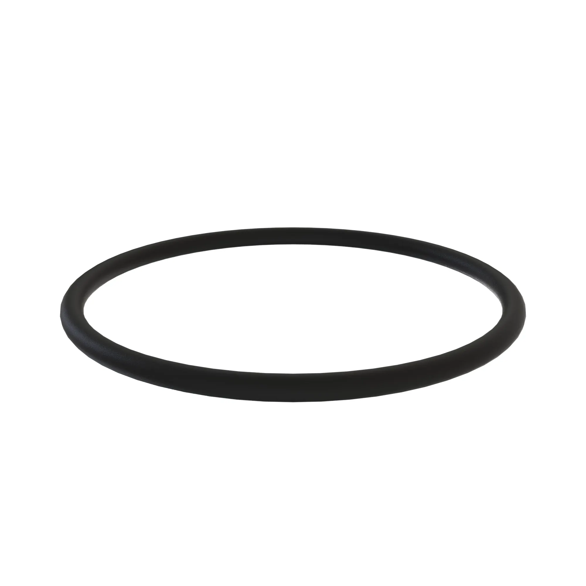 o-ring
