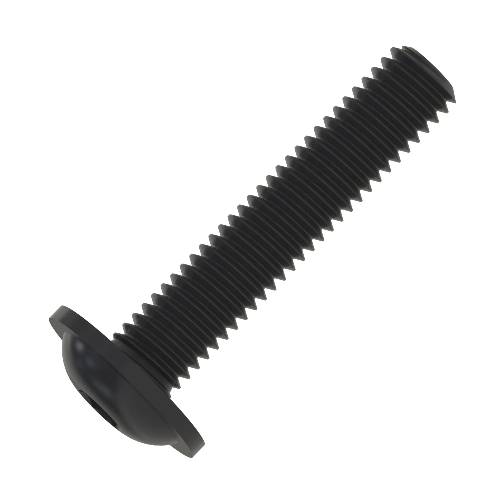 Screw, M5 X 25