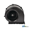 Blower Motor