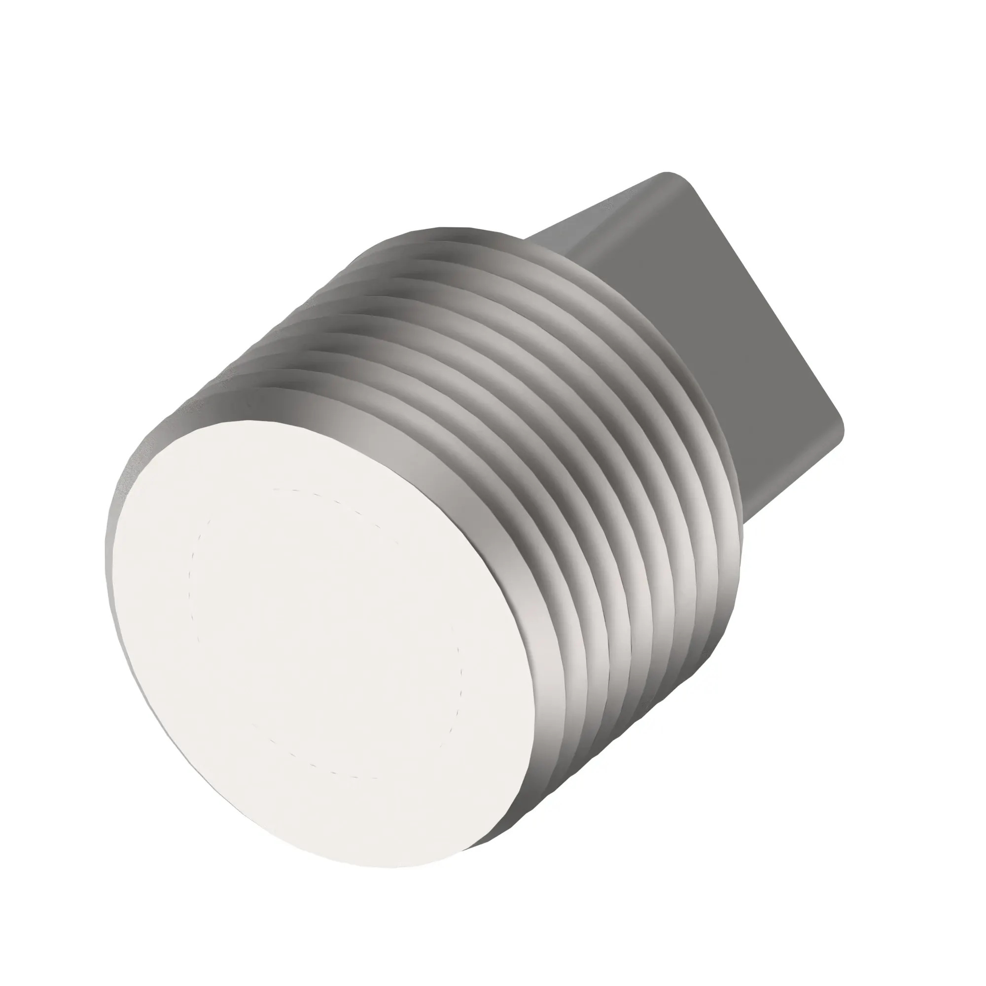 Drain Plug, (Magnetic W/Sealant)
