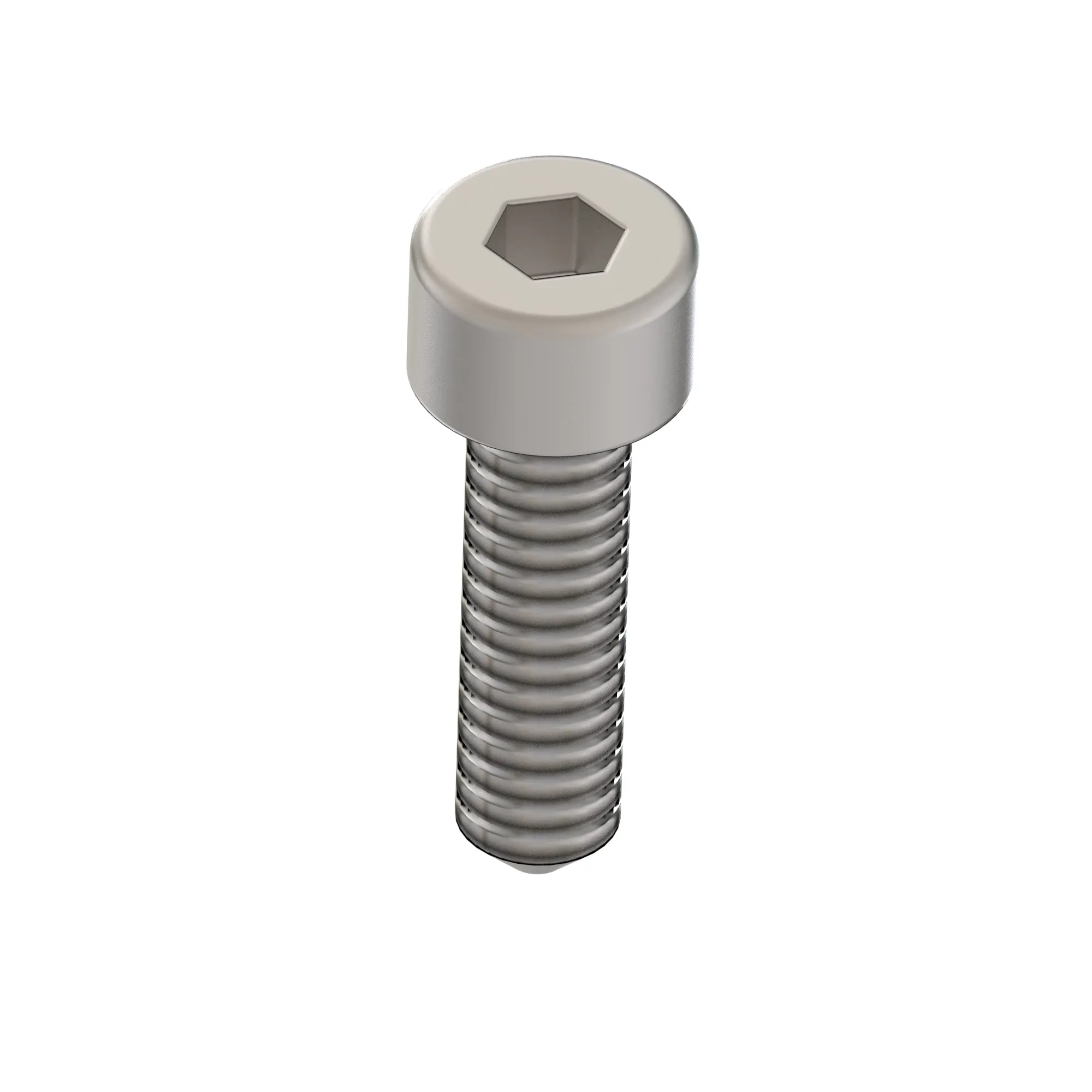 Socket Head Screw