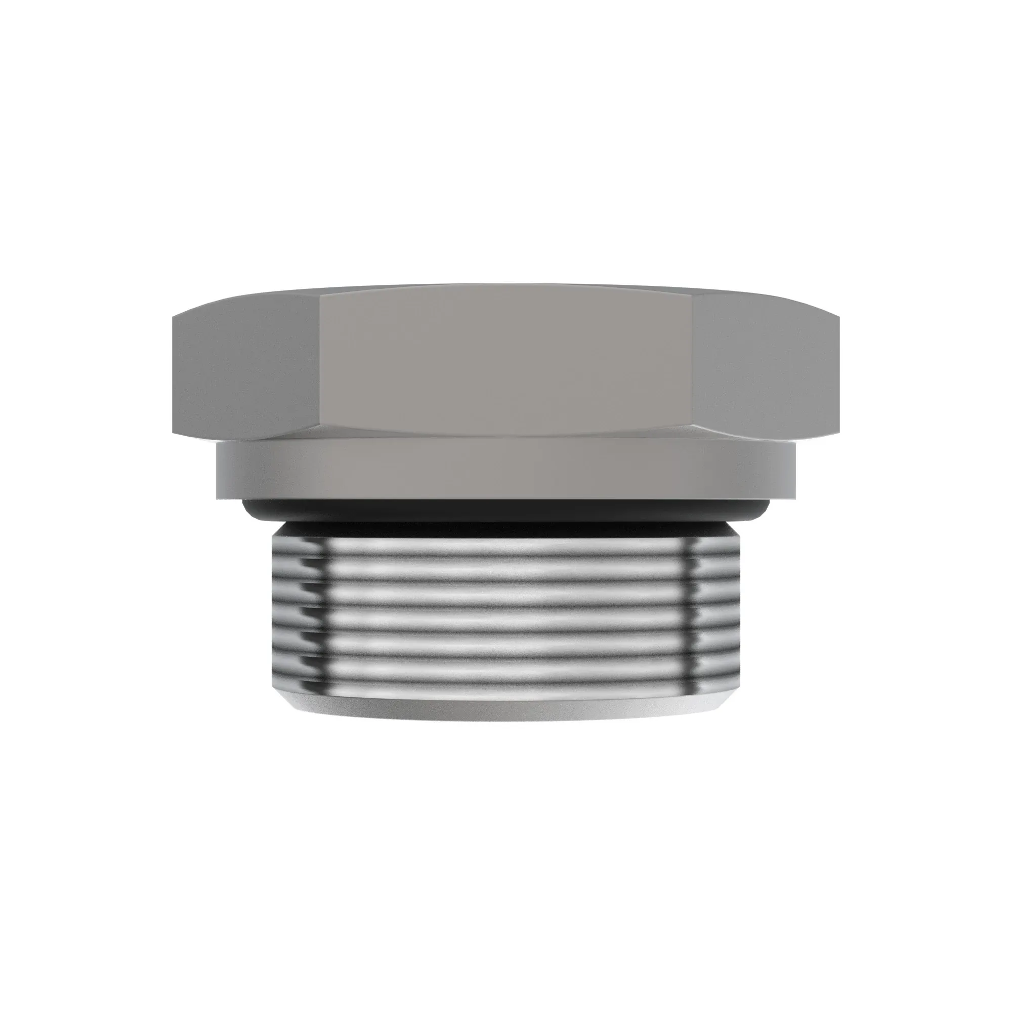 Fitting Plug