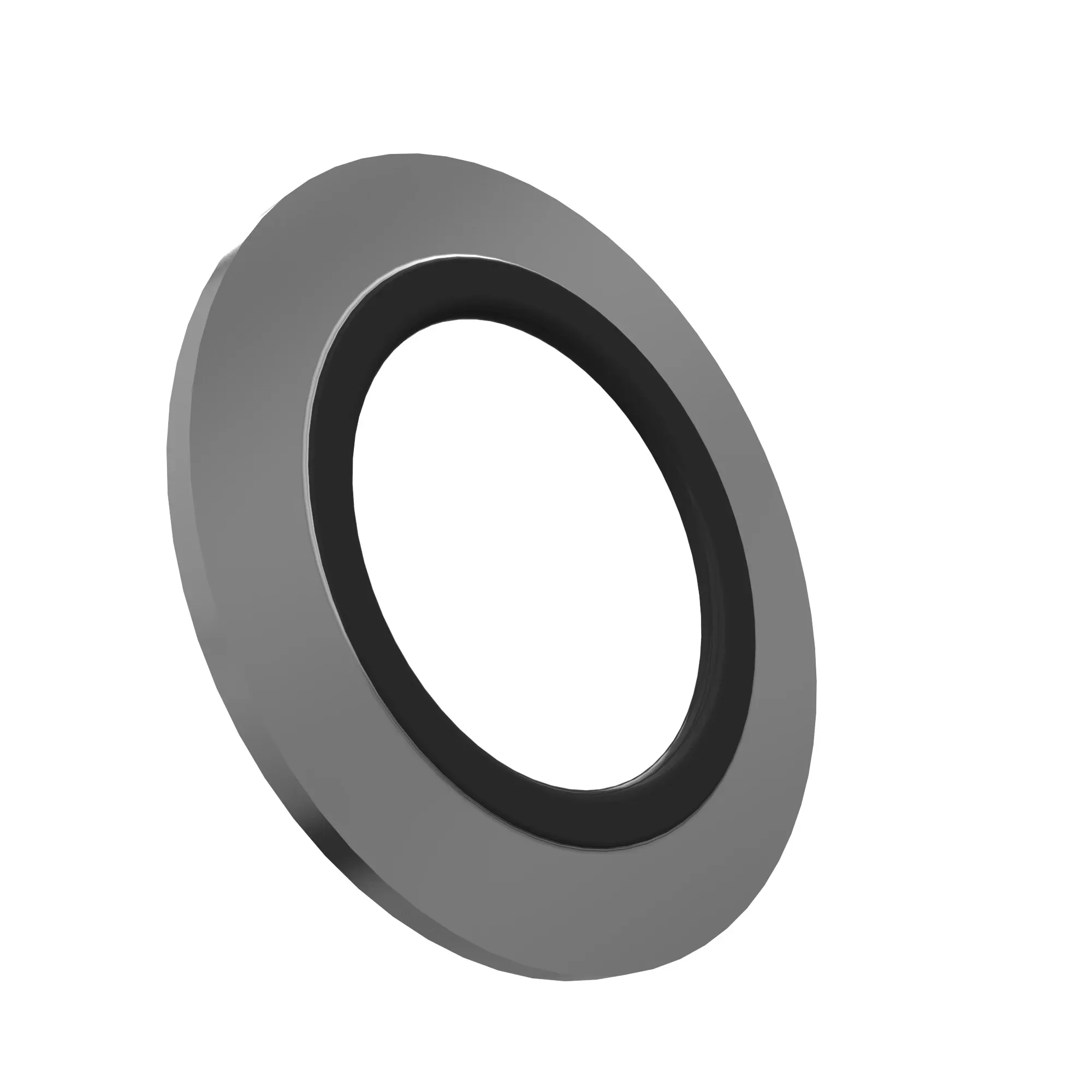 Sealing Washer