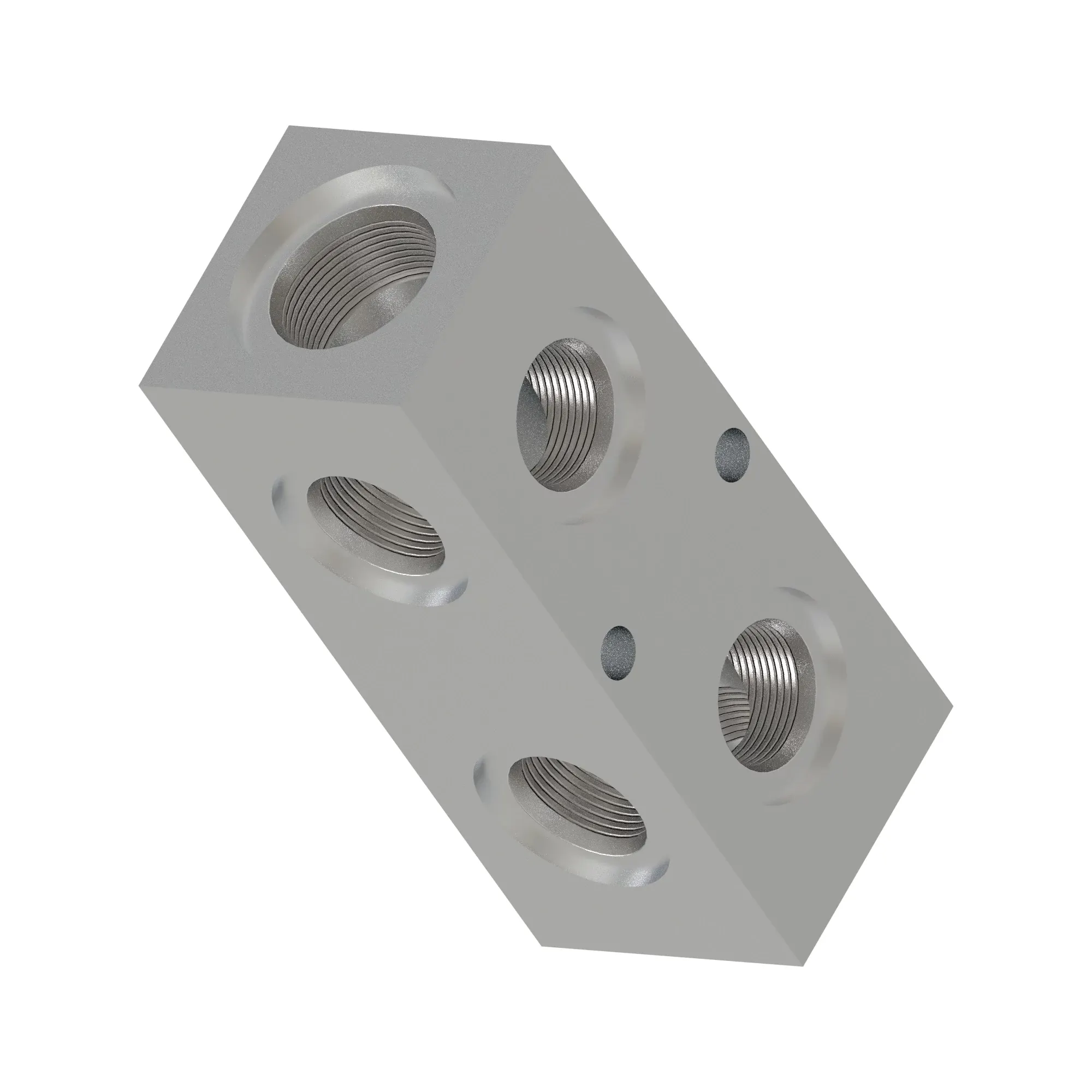 Manifold
