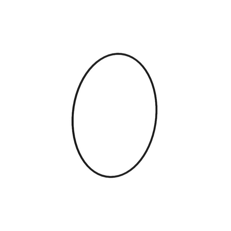 O-Ring