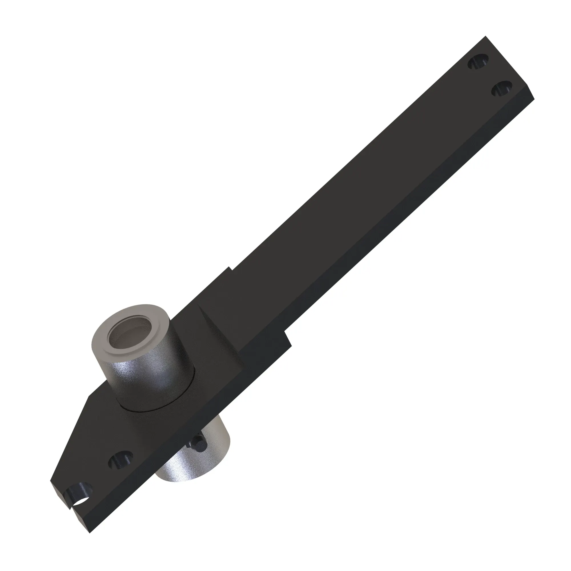 Arm