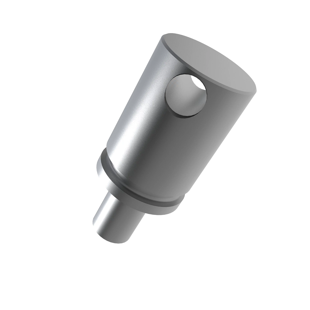 Plunger