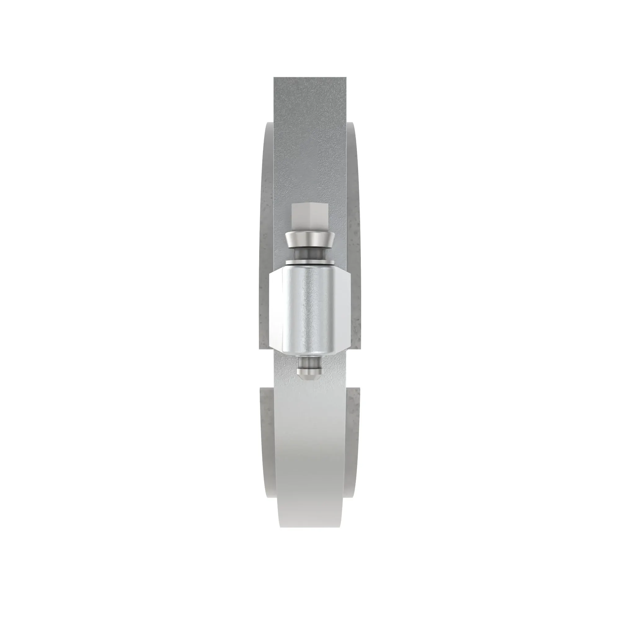 2" FULL PORT WORM SCREW CLAMP, Clamp