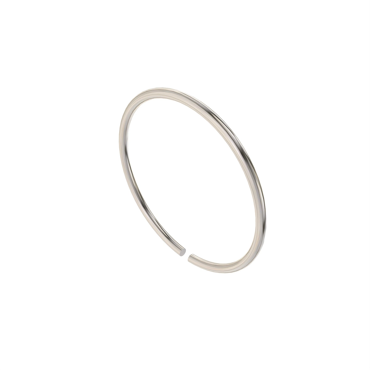 Snap Ring