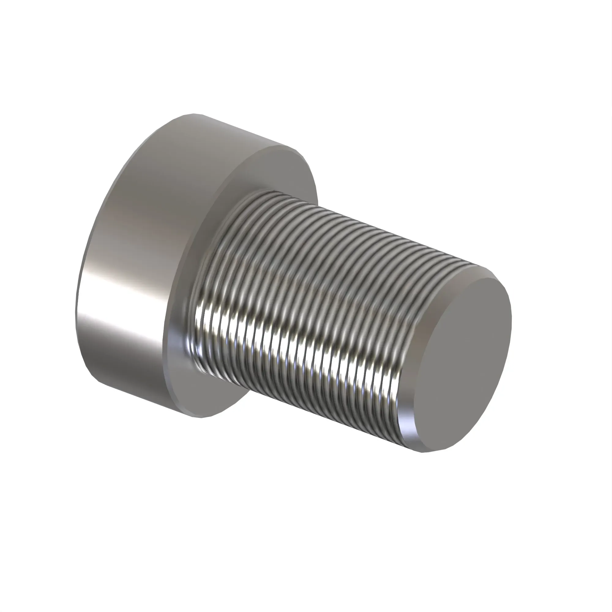 Fitting Plug