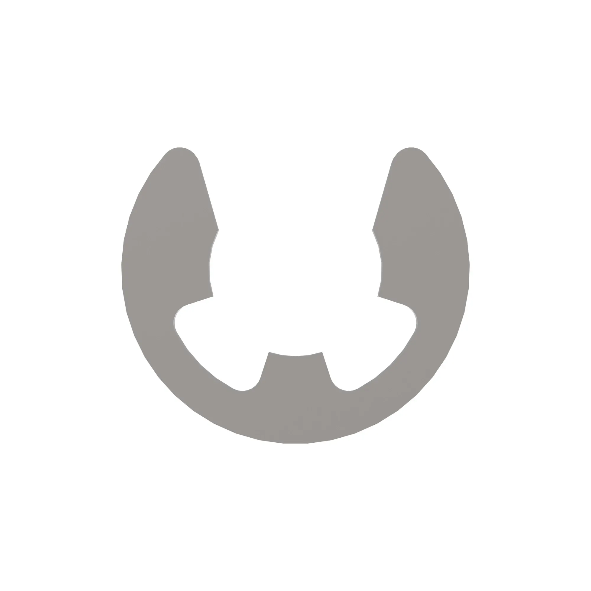Snap Ring