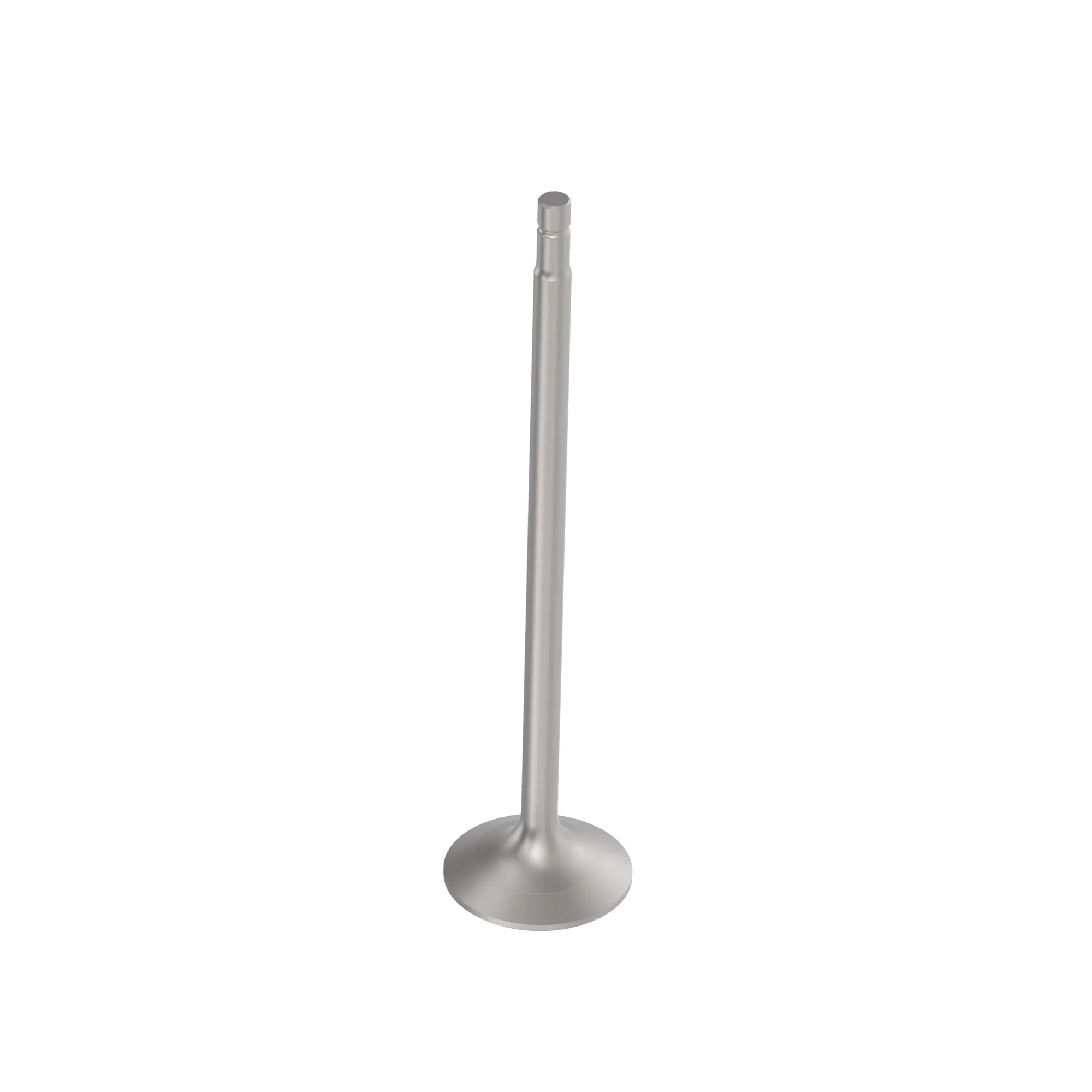 Exhaust Valve