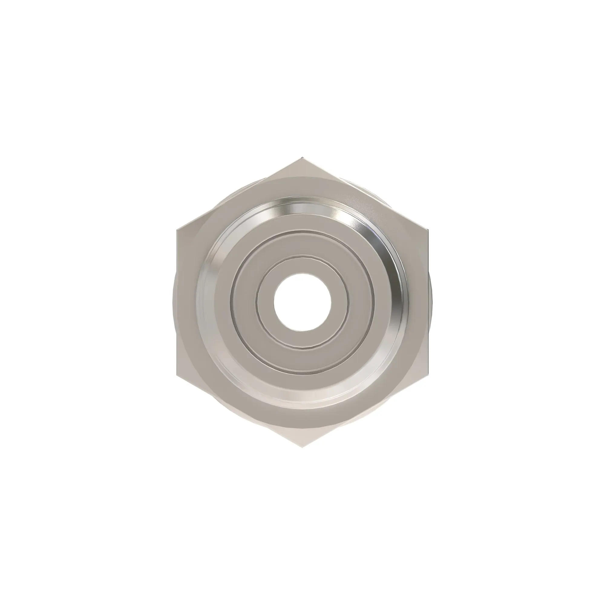 Check Valve