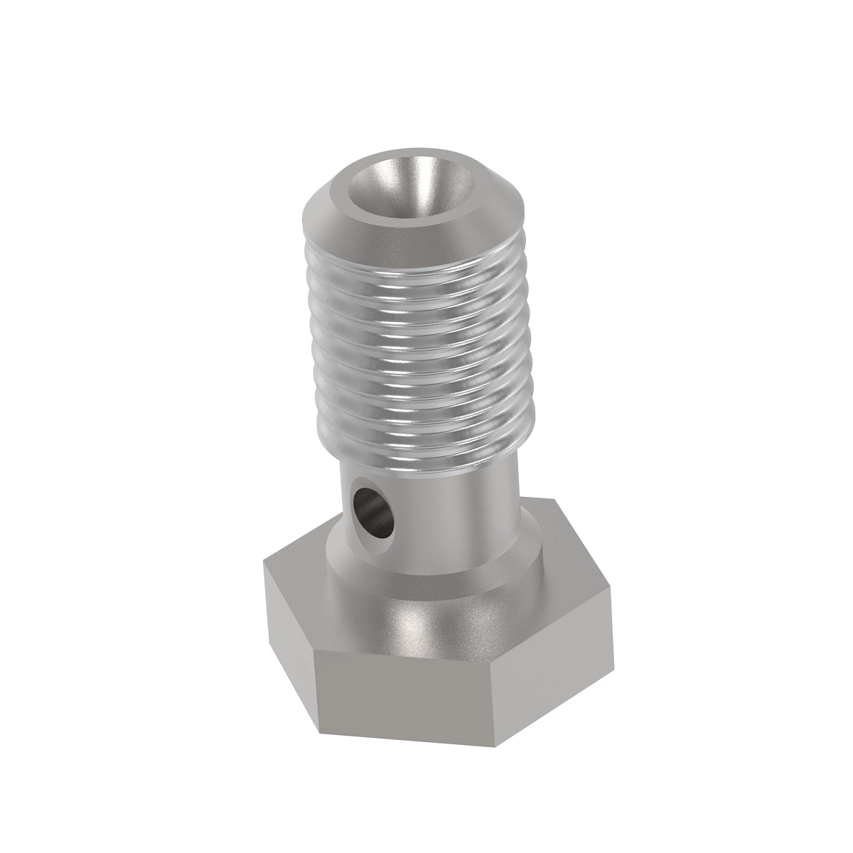 Hollow Screw