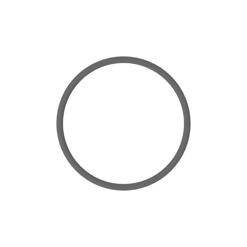 O-Ring