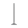 Intake Valve