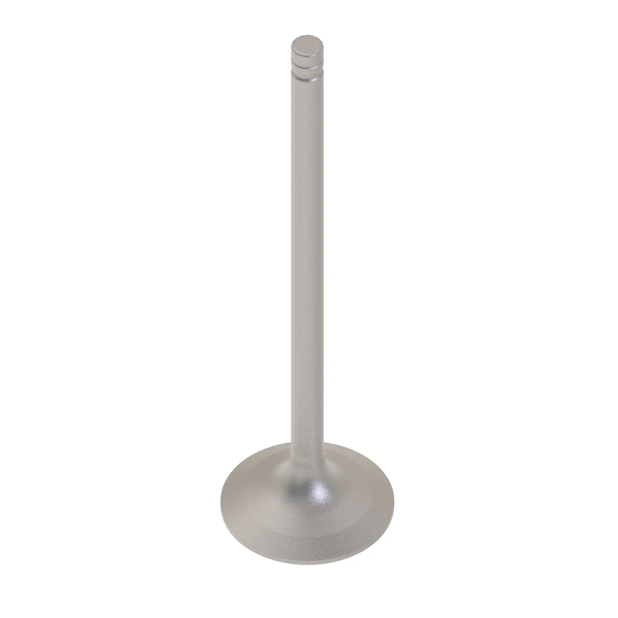 Intake Valve