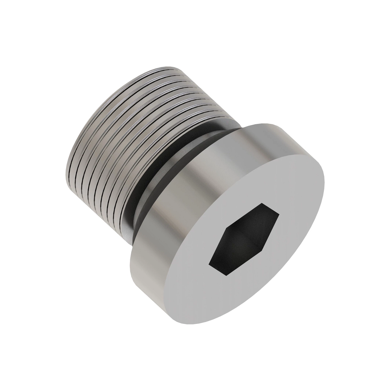Fitting Plug
