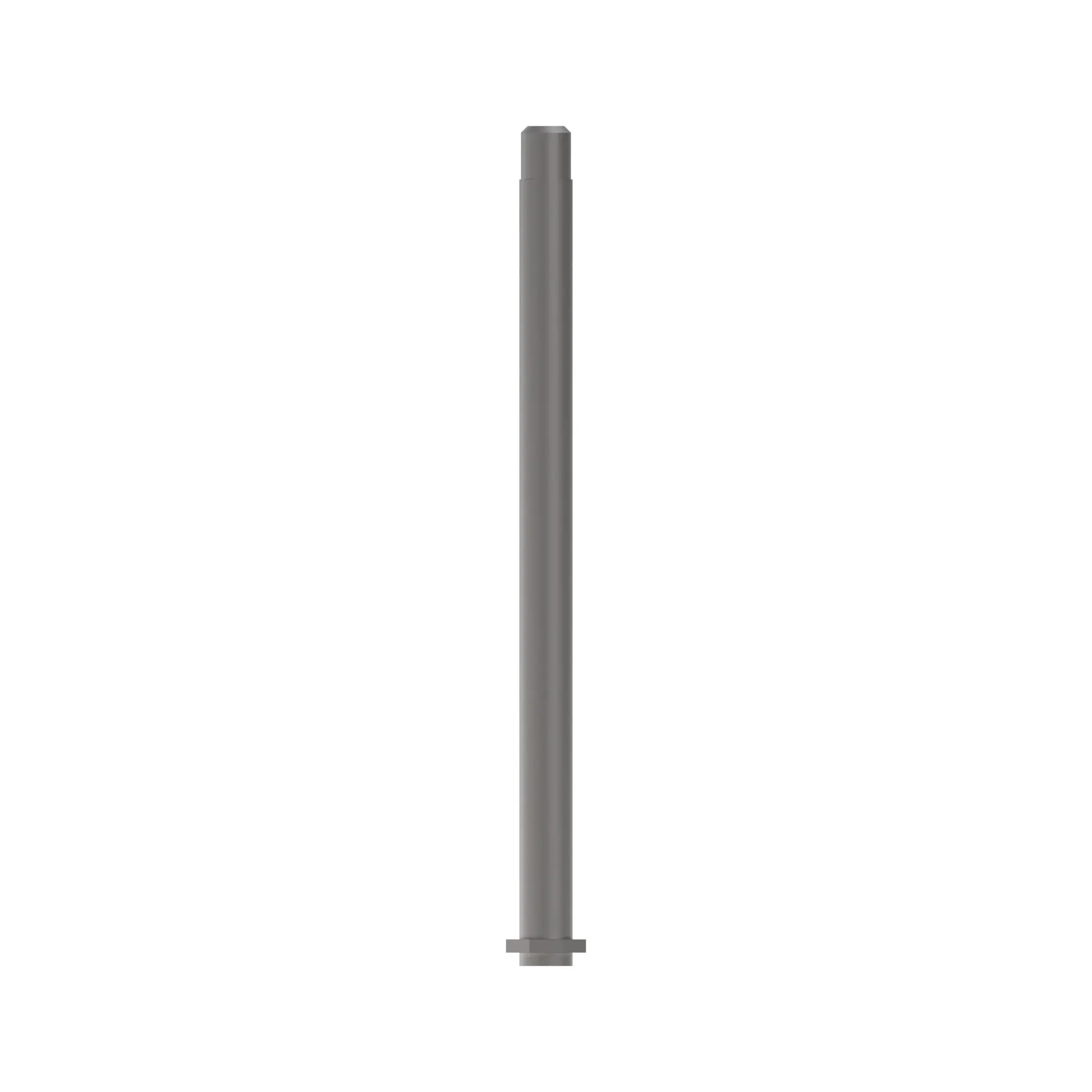 Pin