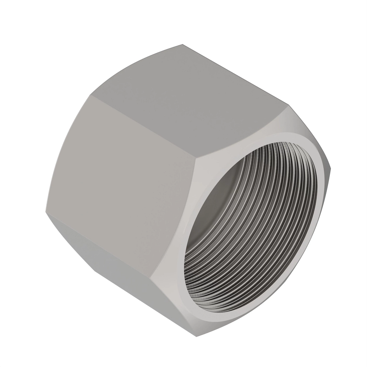 Cap Assembly, (Cp) O-Ring FSF