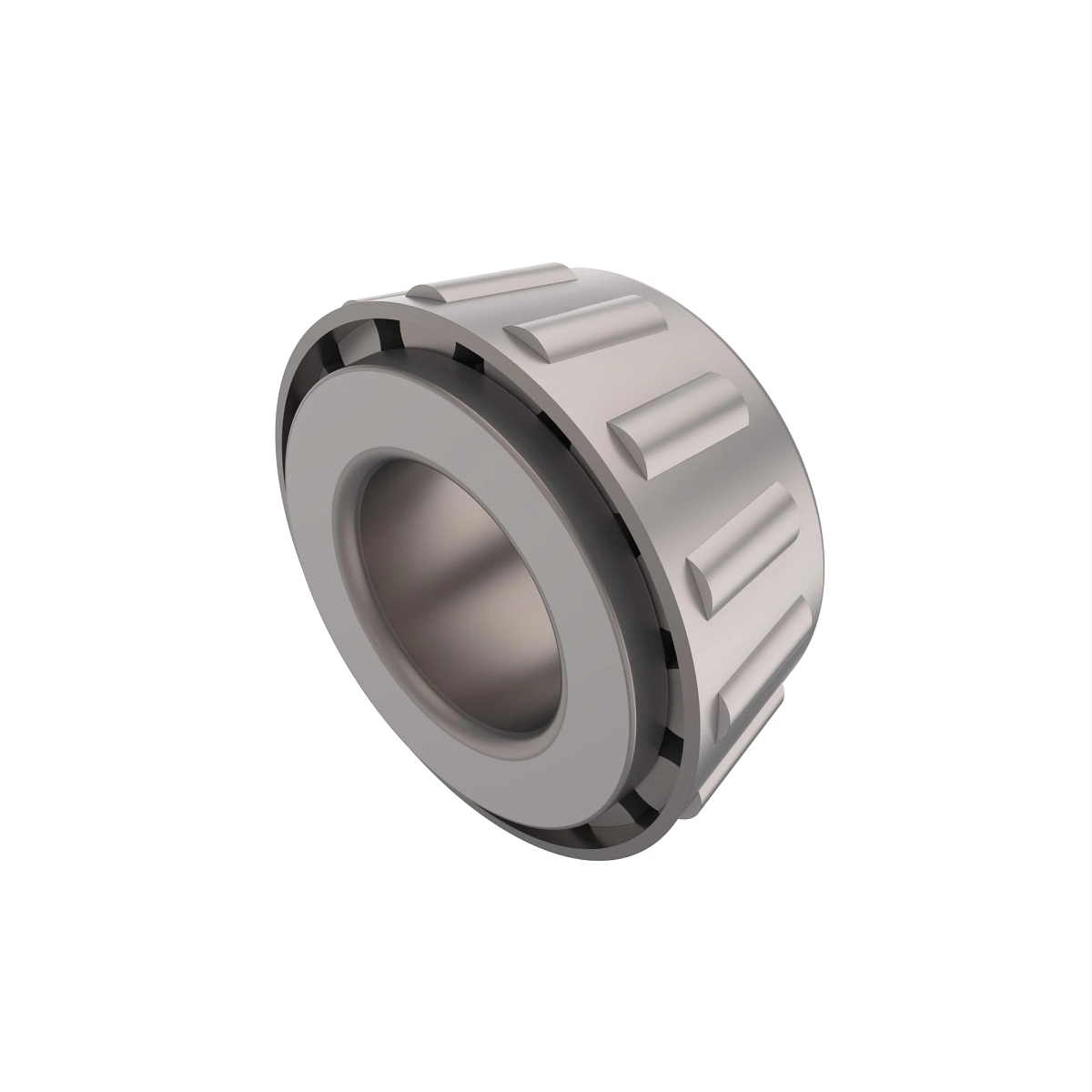 Cone-Bearing
