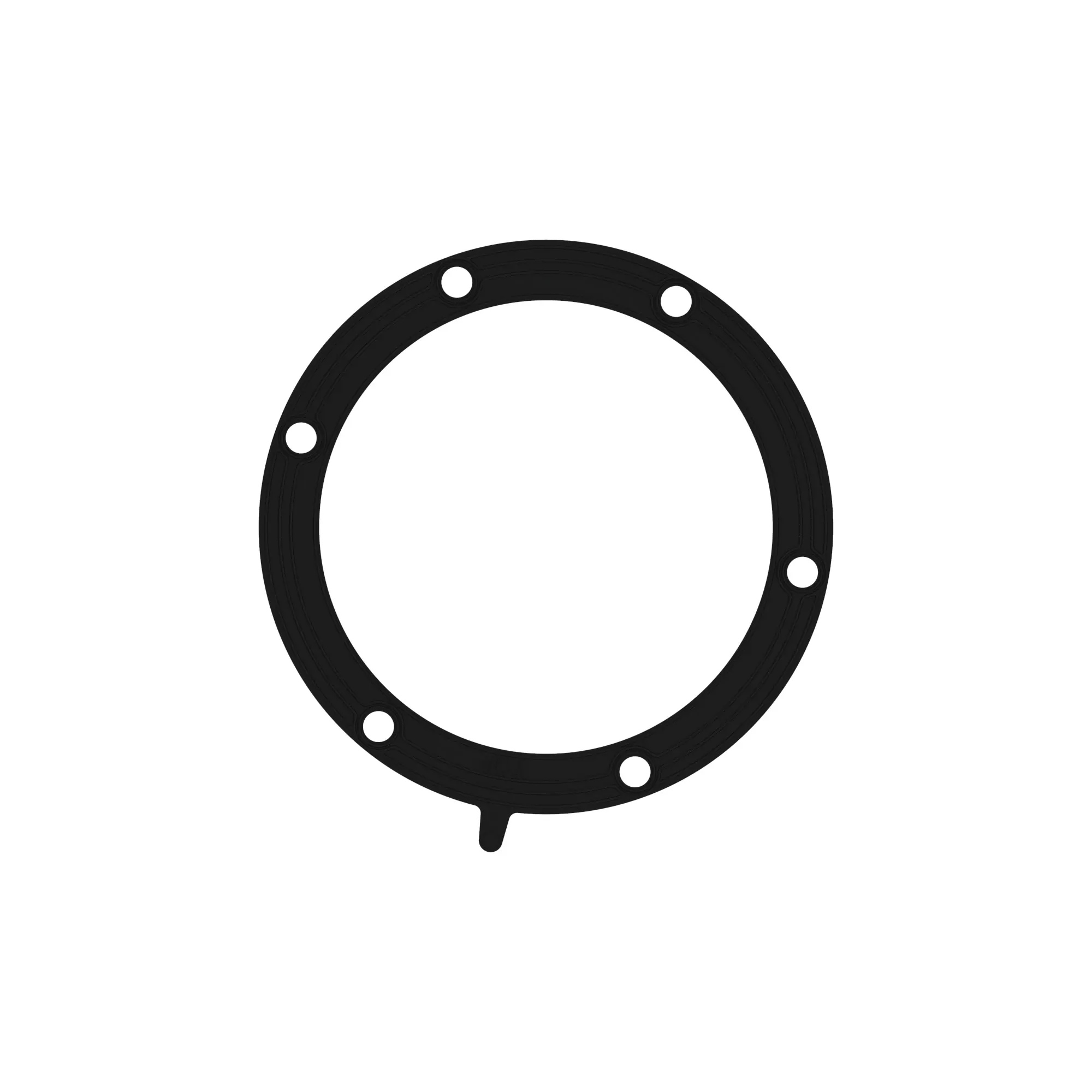 Gasket