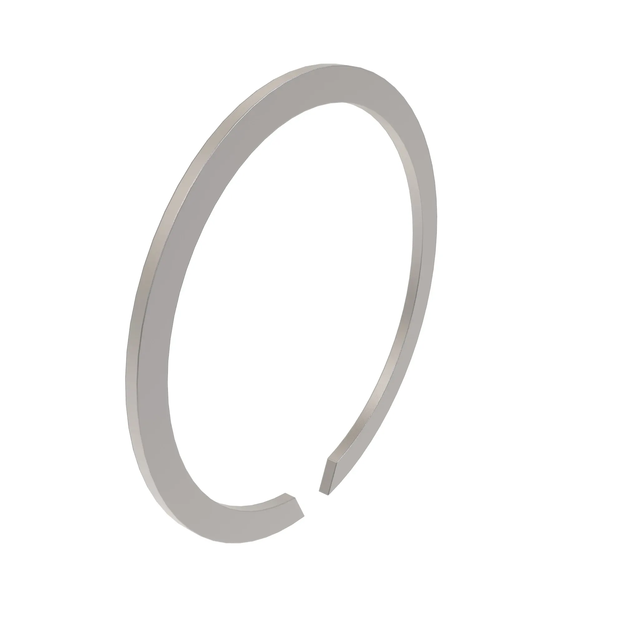 Snap Ring