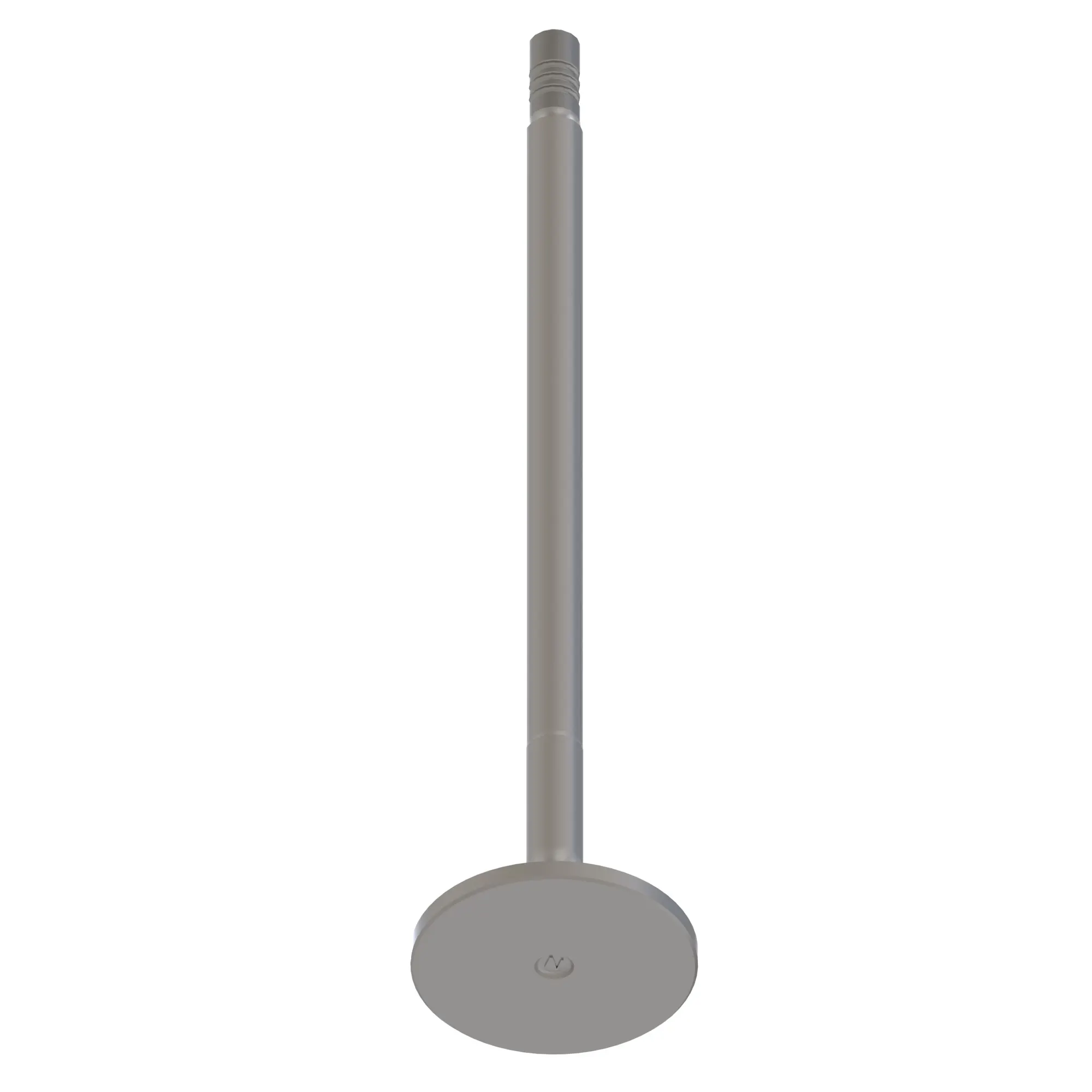 Intake Valve