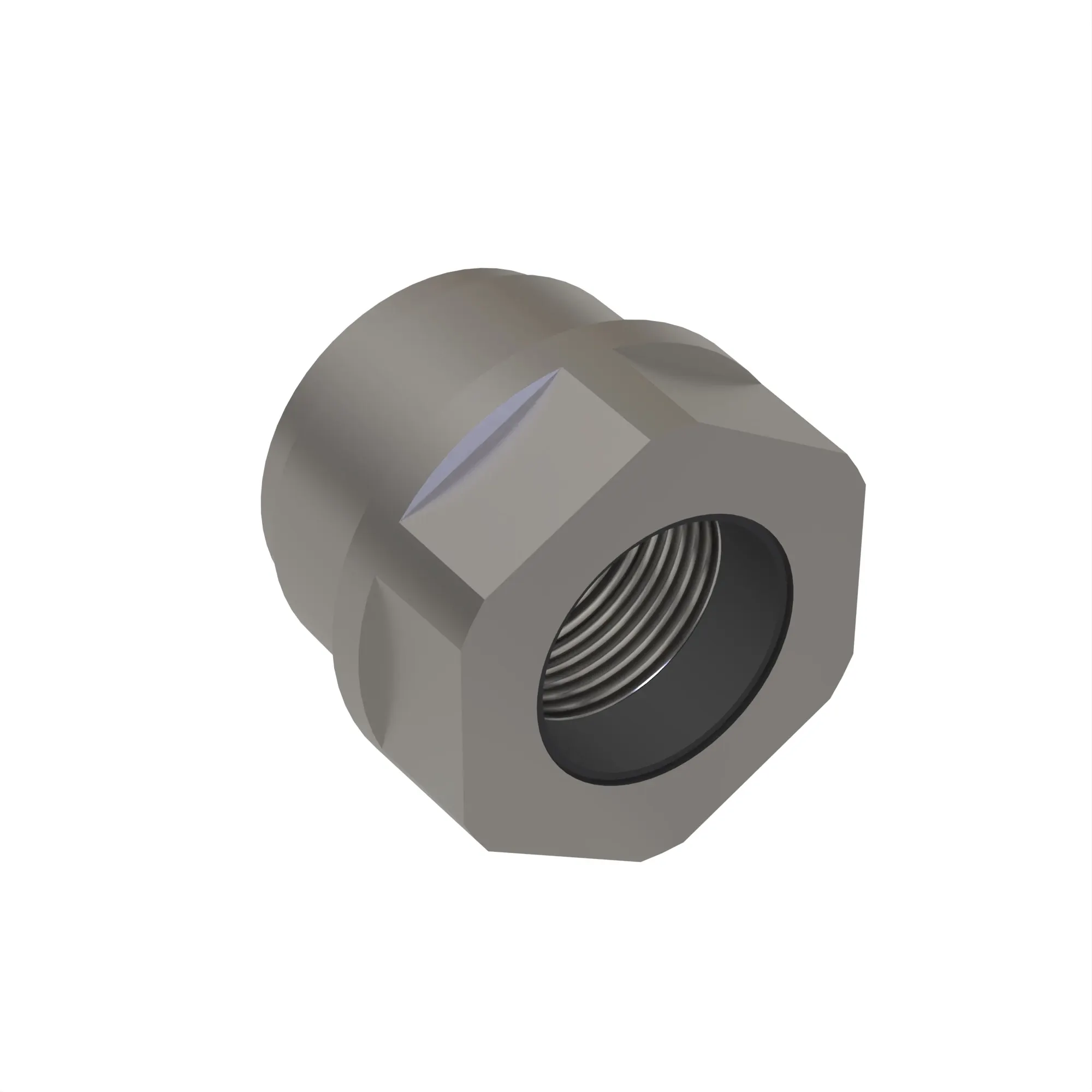 NUT, 1 INCH GLAND, ASSEMBLY