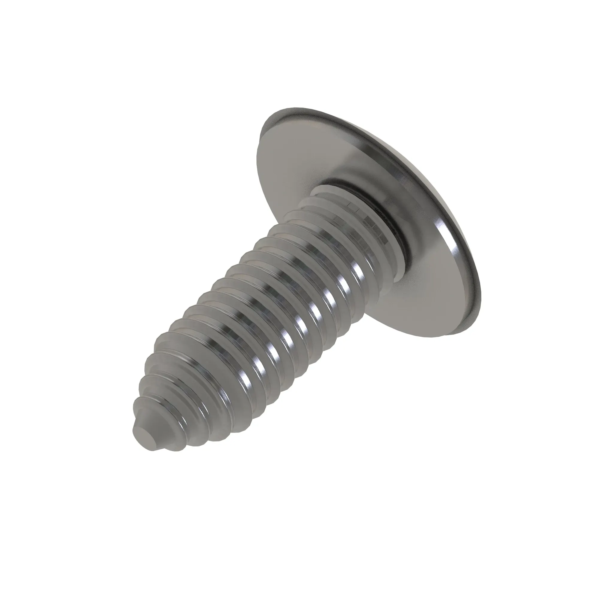 Screw