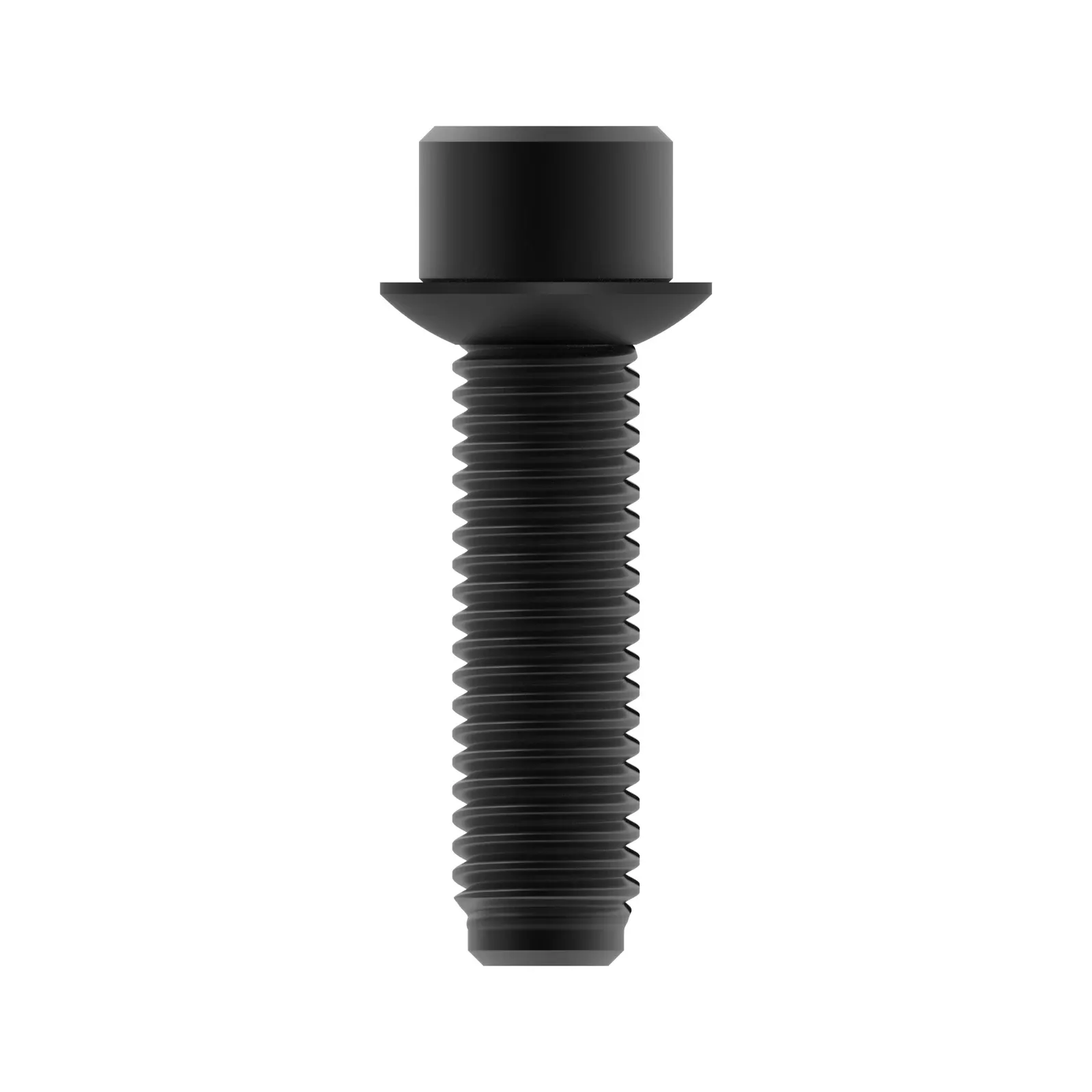 Screw With Washer