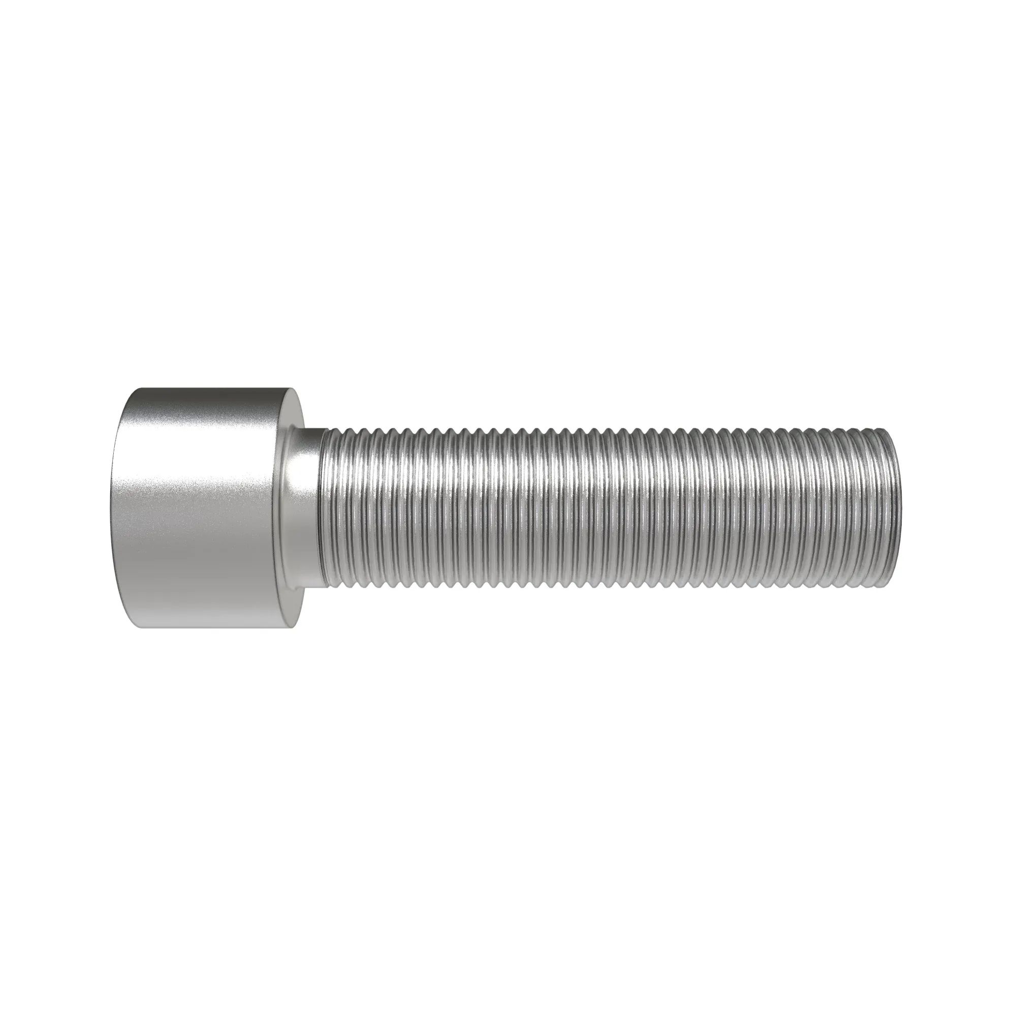 Socket Head Screw
