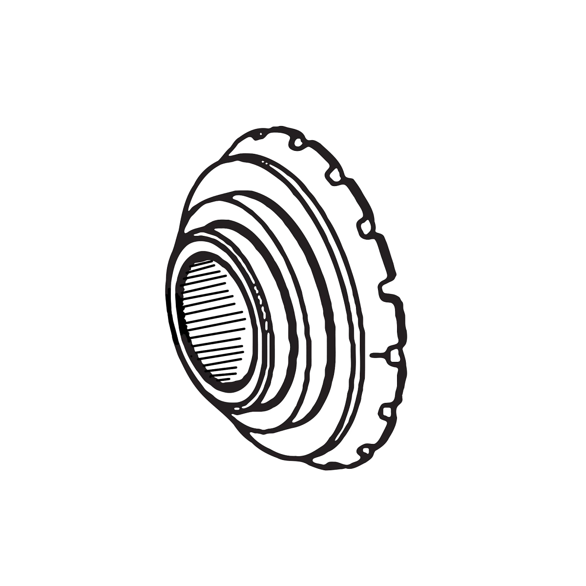 Side Gear