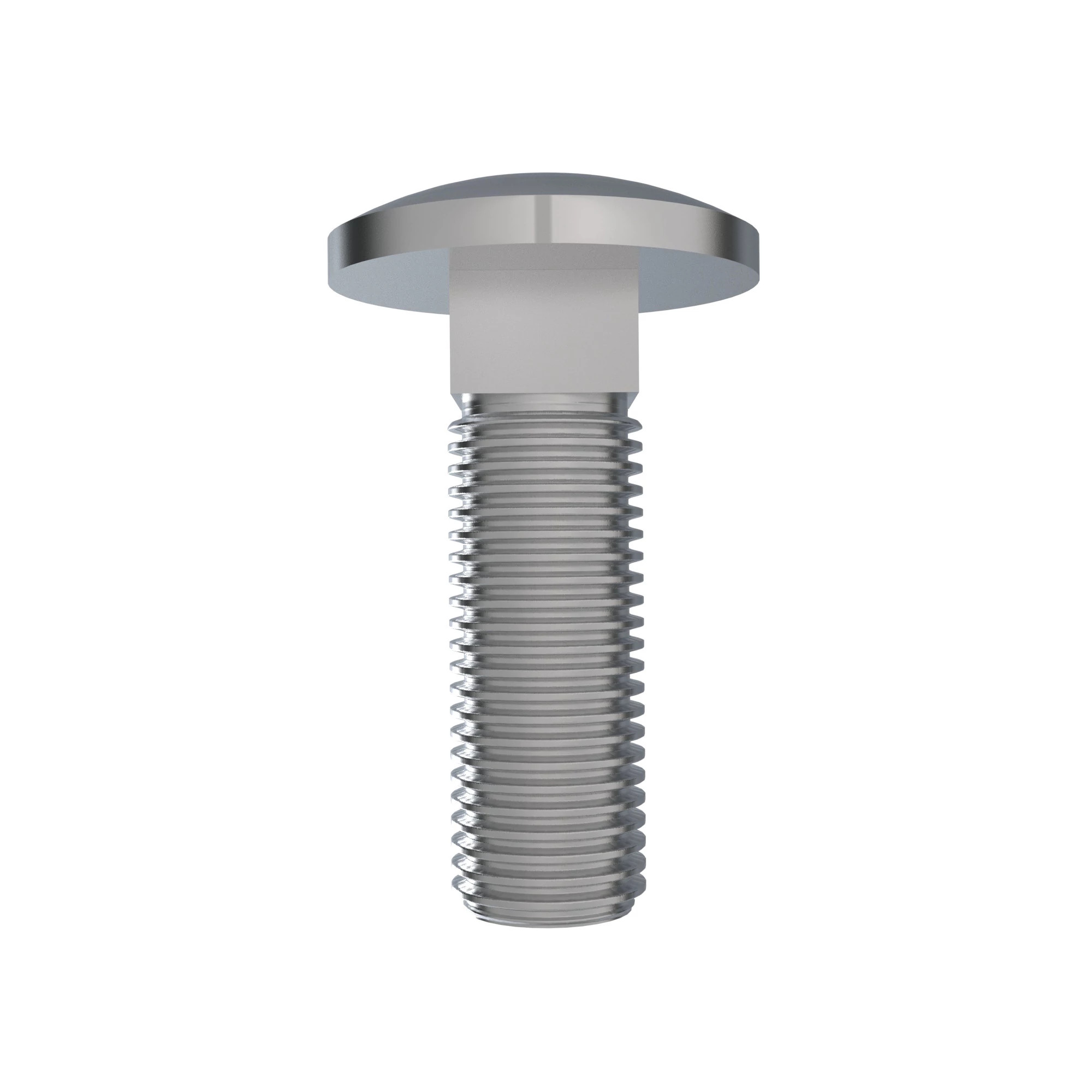 BOLT, RD HD SQ LONG NECK, MTRIC