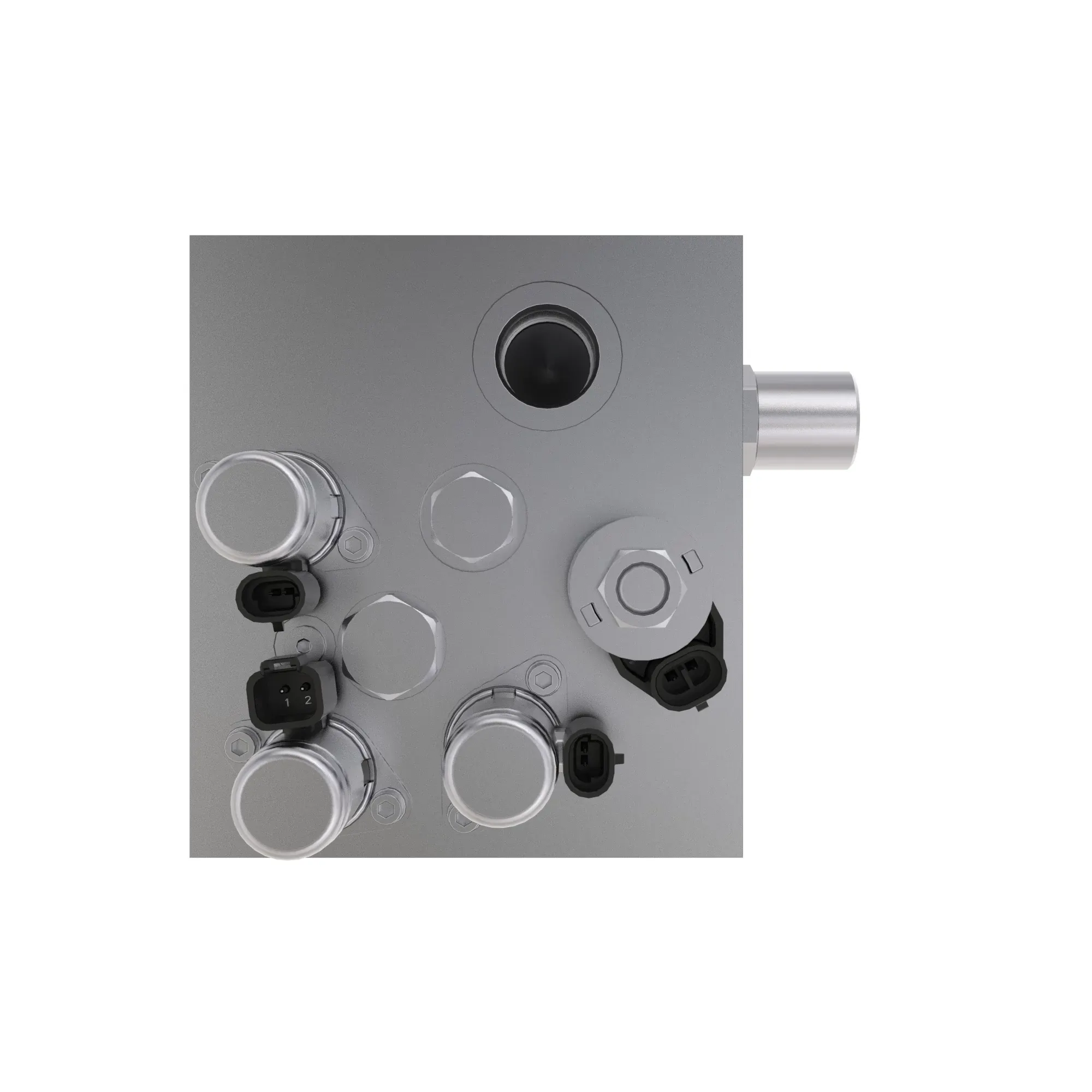 Manifold