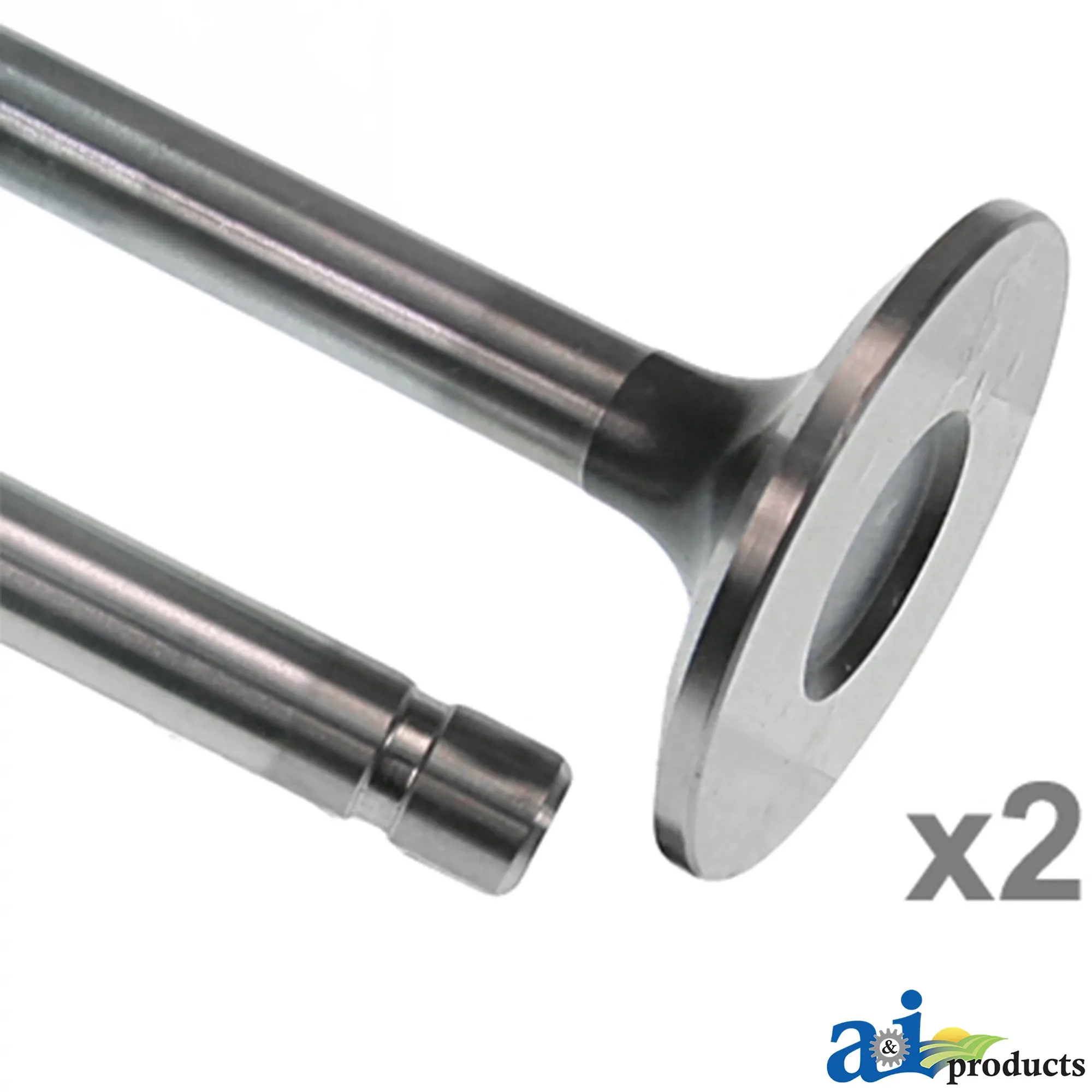 Exhaust Valve