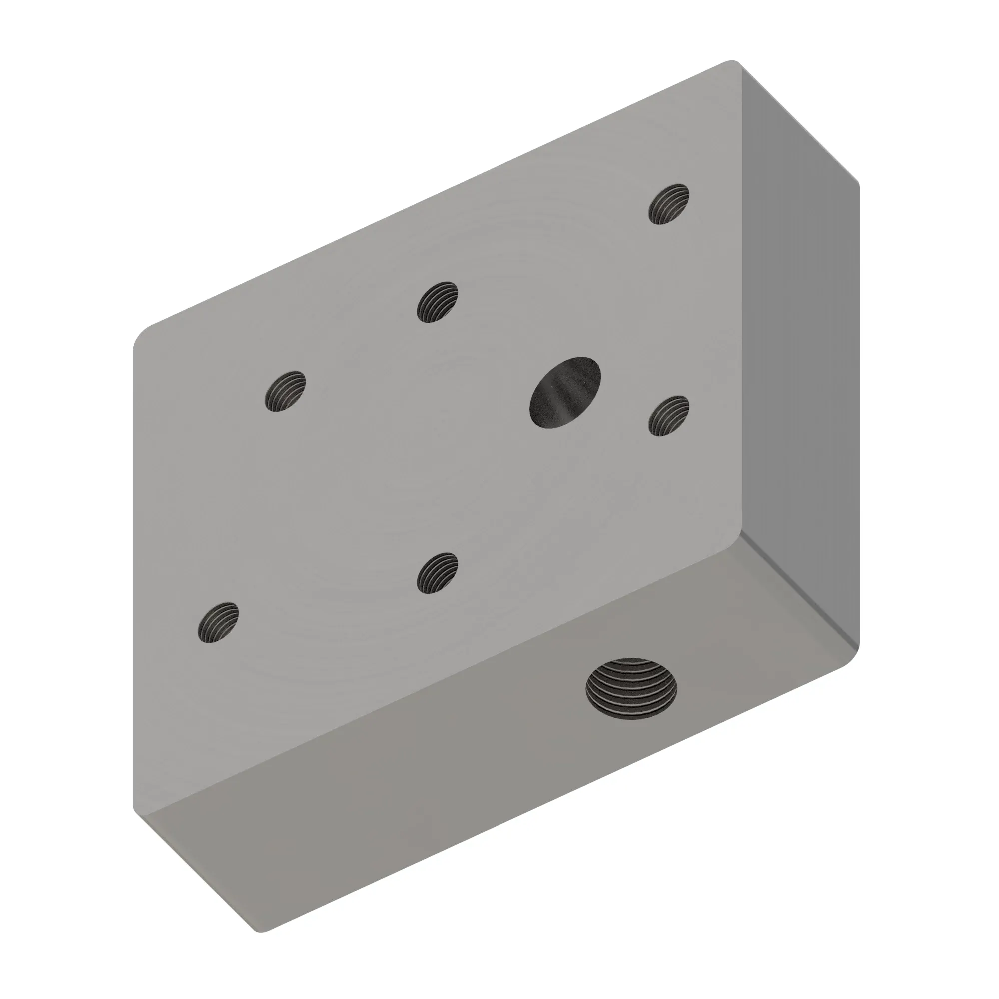 Manifold